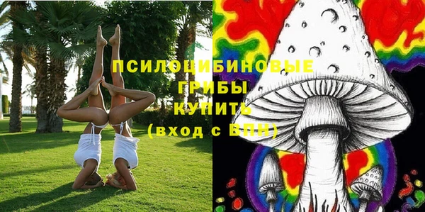 стаф Надым