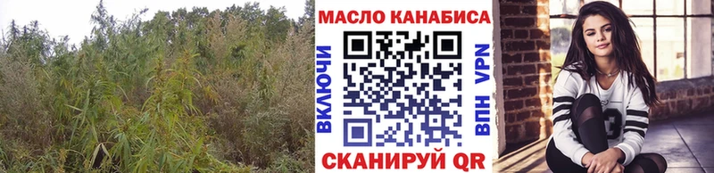 ТГК концентрат  Купить  Семёнов 